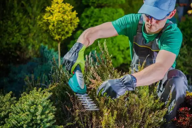 landscaping services Bridgetown